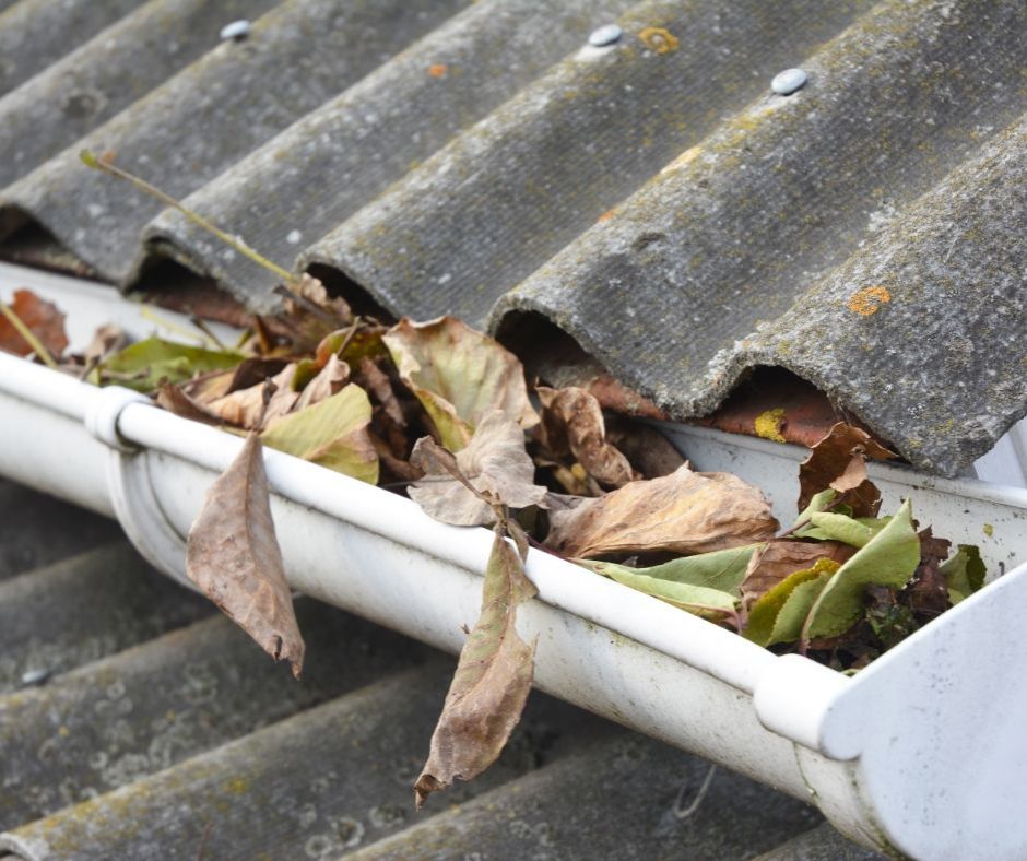 Gutter cleaning in Frankston