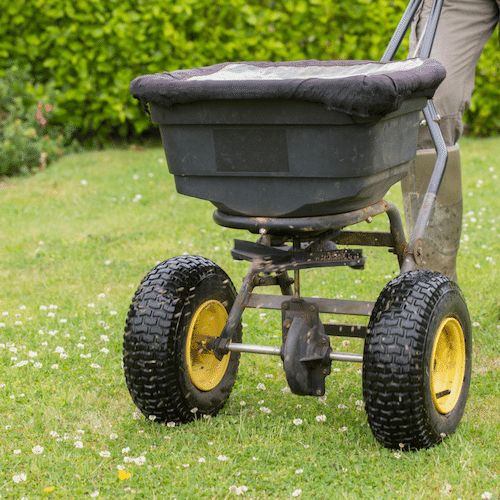 Lawn Fertilisation with push trolley in Frankston