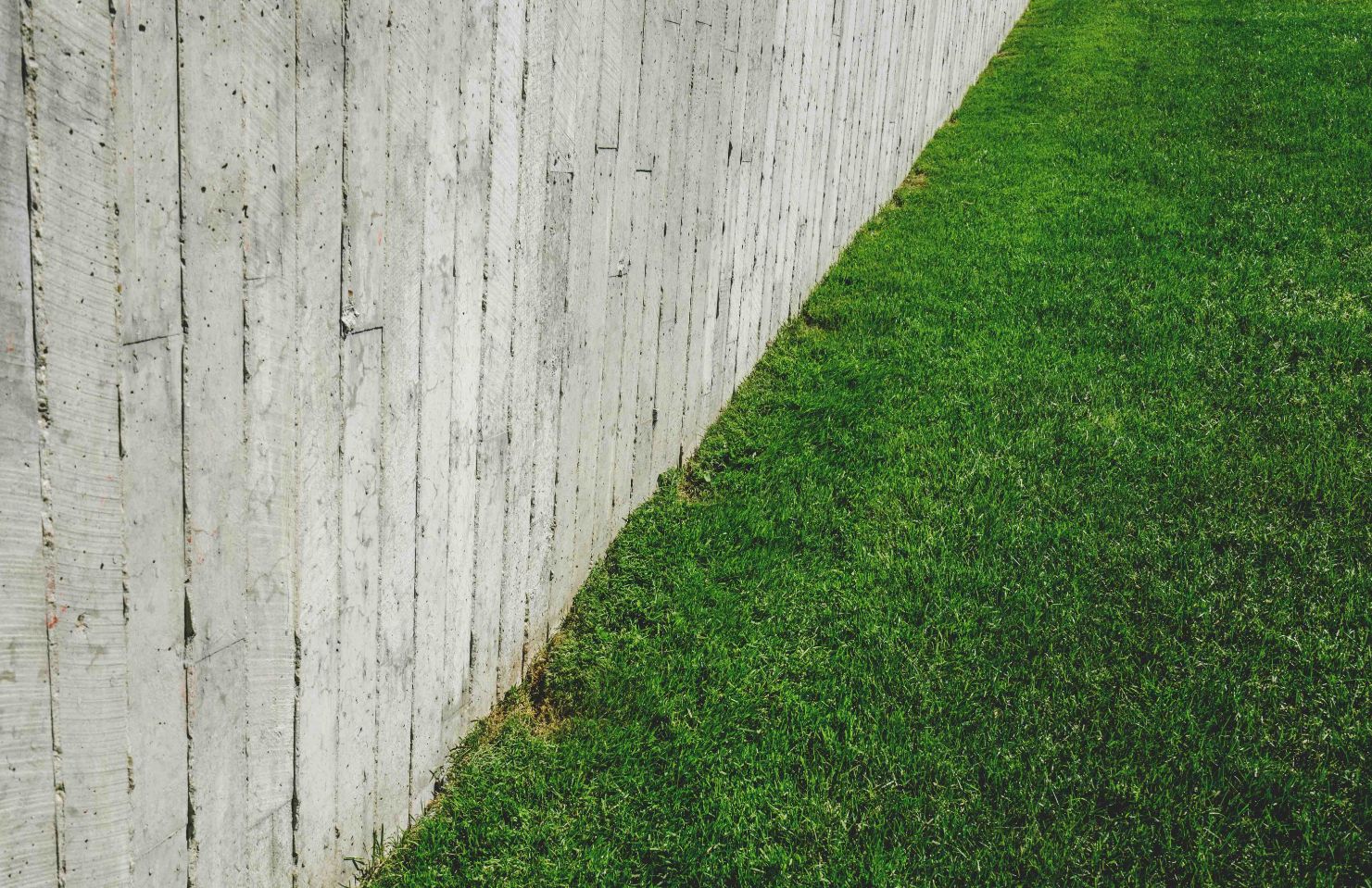 Lawn coring service in Frankston backyard