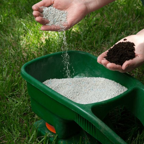 Organic Lawn Fertiliser Service in Frankston