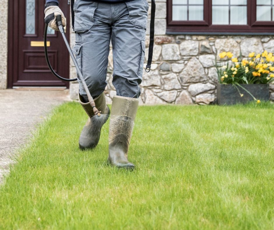 Lawn Fertilisation spray in Frankston