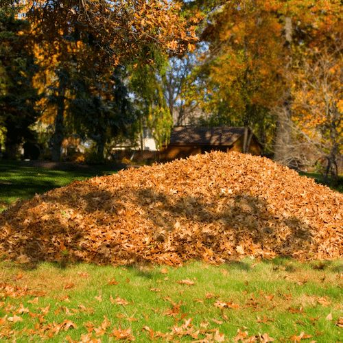 Garden waste removal in Frankston garden